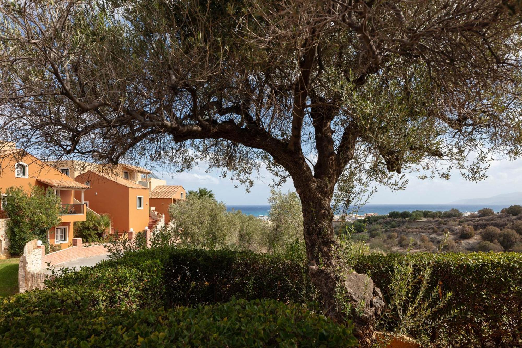 Dia Apartments Hersonissos  Bagian luar foto